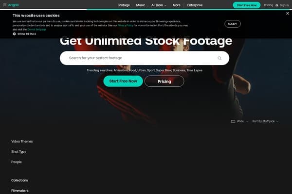 Artgrid preview