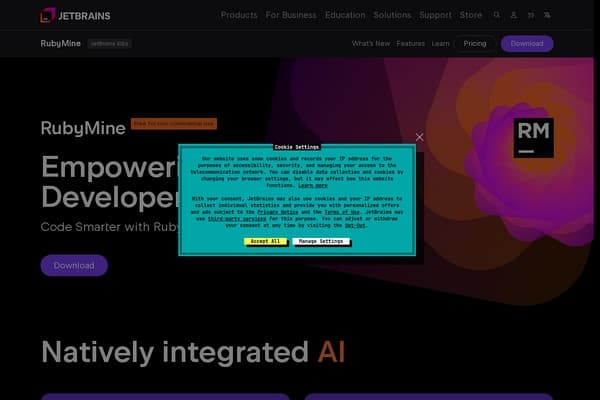 RubyMine preview